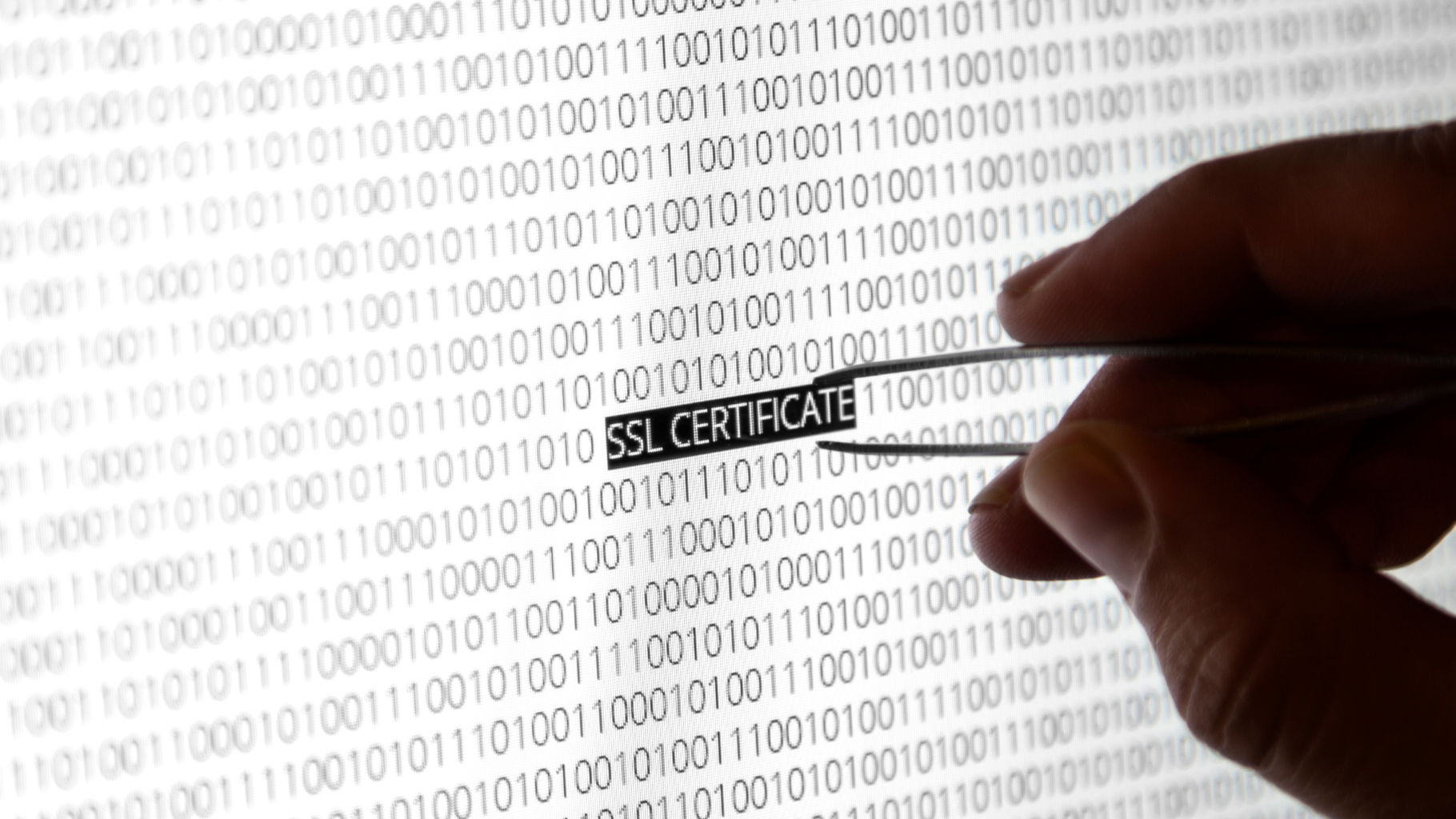 Certificat SSL | Fundació .cat