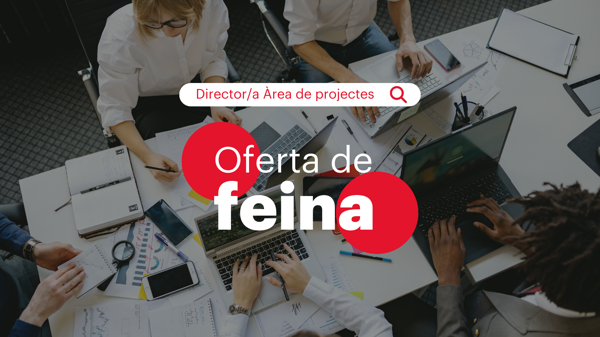 Oferta feina Director àrea projectes